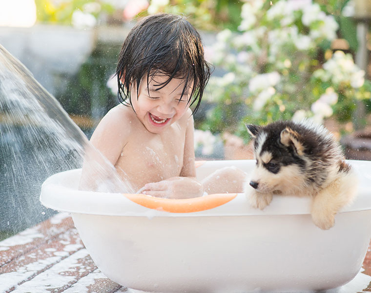 残暑の季節に症状が？夏バテを予防するお風呂の入浴法！ 夏バテに関する実態調査
