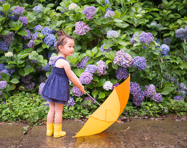今年の梅雨入り 梅雨明けはいつ じめじめシーズンを快適に過ごせるお風呂活用術 バスリエ株式会社 Corporate Website 今年の梅雨入り 梅雨明けはいつ じめじめシーズンを快適に過ごせるお風呂活用術 バスリエ株式会社 Corporate Website