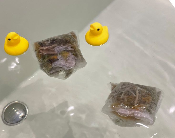 【2月季節湯】変わり種季節湯を楽しみたい！おでん気分！？冬の乾燥対策に昆布と大根のお風呂