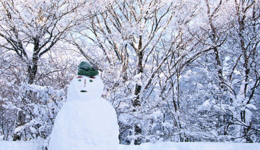 大寒の寒い夜は「みかん風呂」でぽっかぽか！